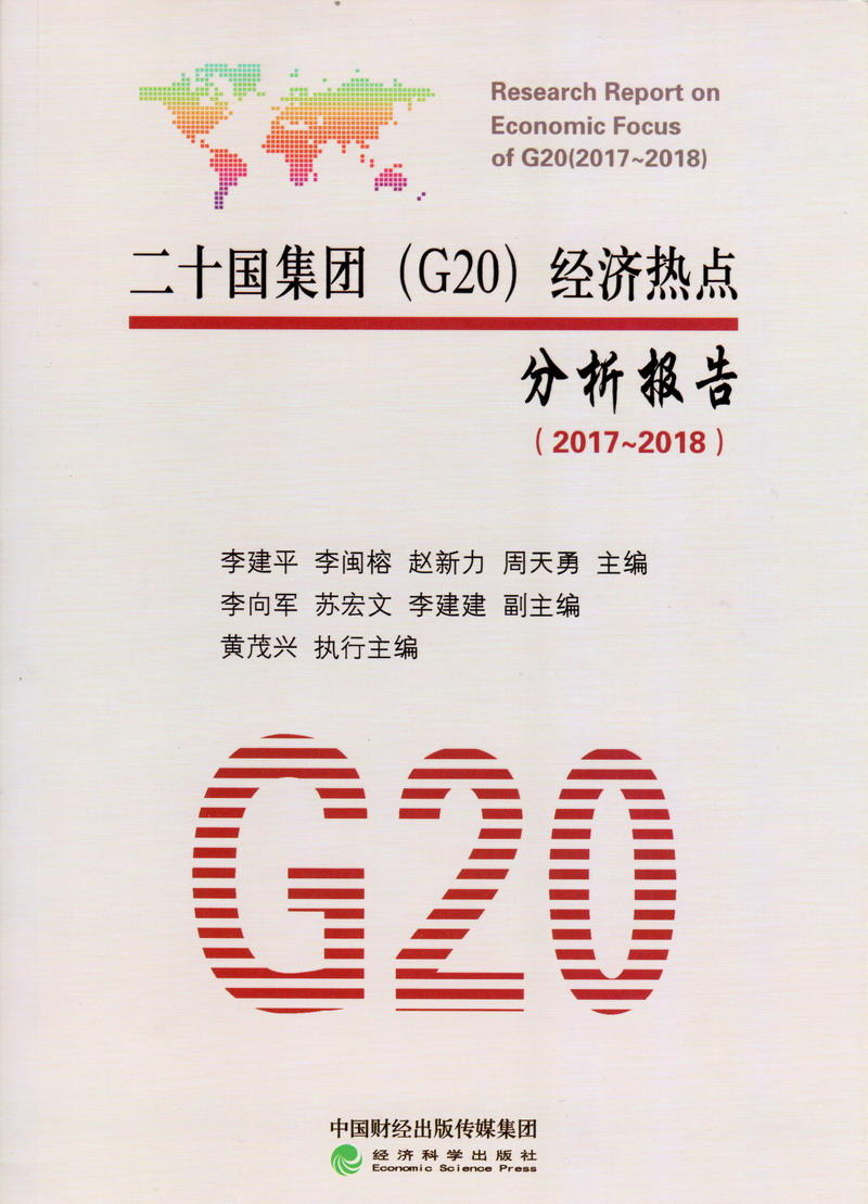 干骚干逼二十国集团（G20）经济热点分析报告（2017-2018）