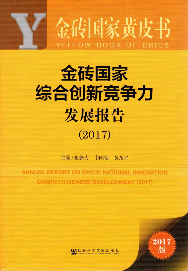 啊啊啊操我呀在线视频金砖国家综合创新竞争力发展报告（2017）